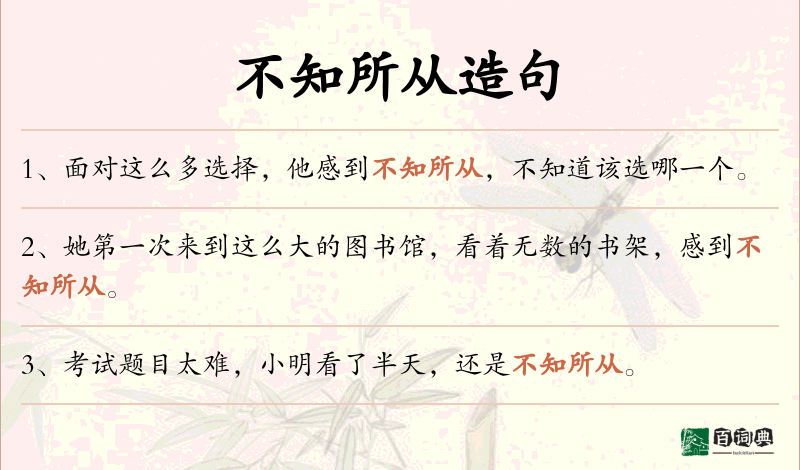 不知所从