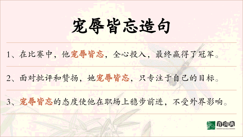 宠辱皆忘