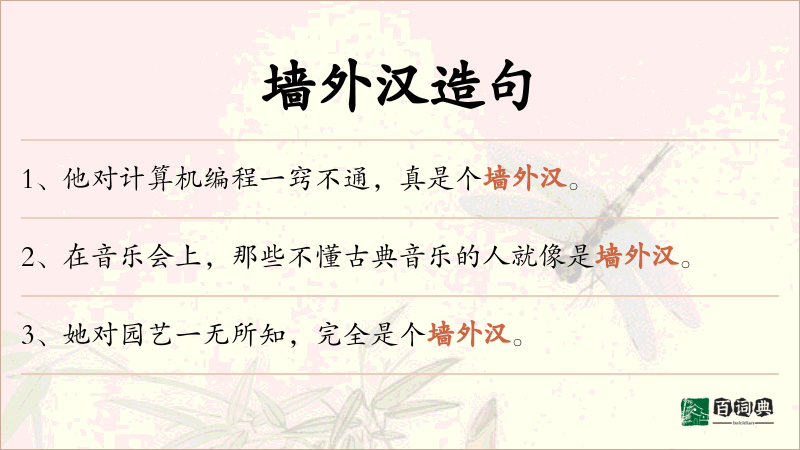 墙外汉