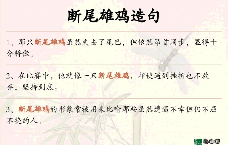 断尾雄鸡