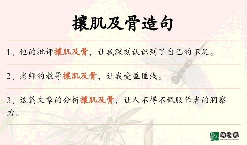 攘肌及骨