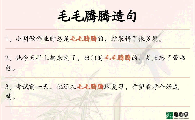 毛毛腾腾