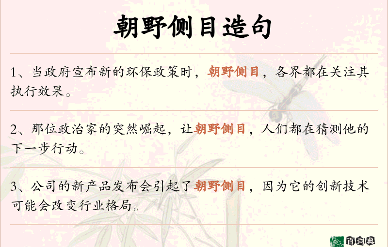 朝野侧目