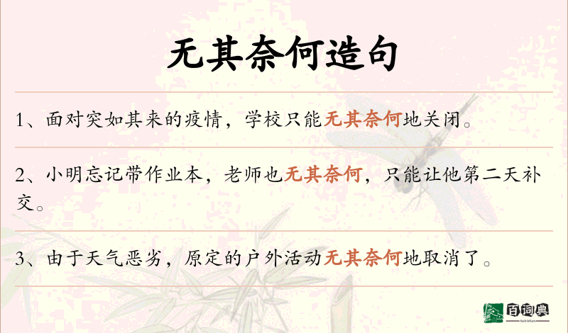 无其奈何
