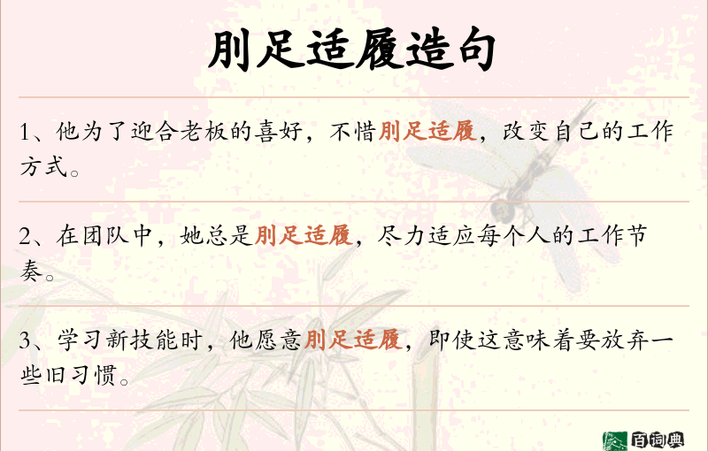 刖足适履