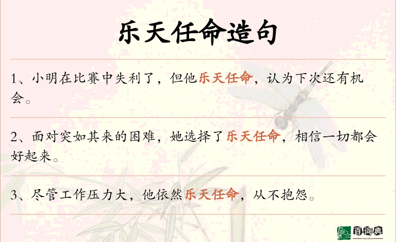 乐天任命