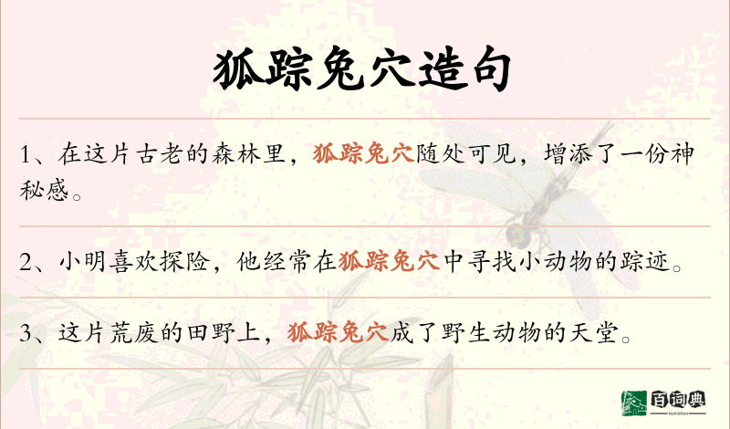 狐踪兔穴