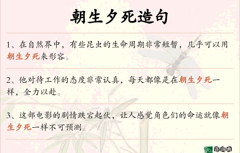 朝生夕死