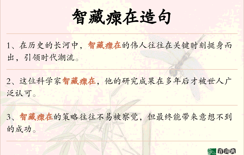 智藏瘝在