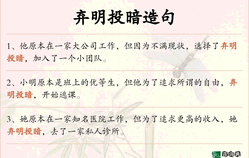 弃明投暗