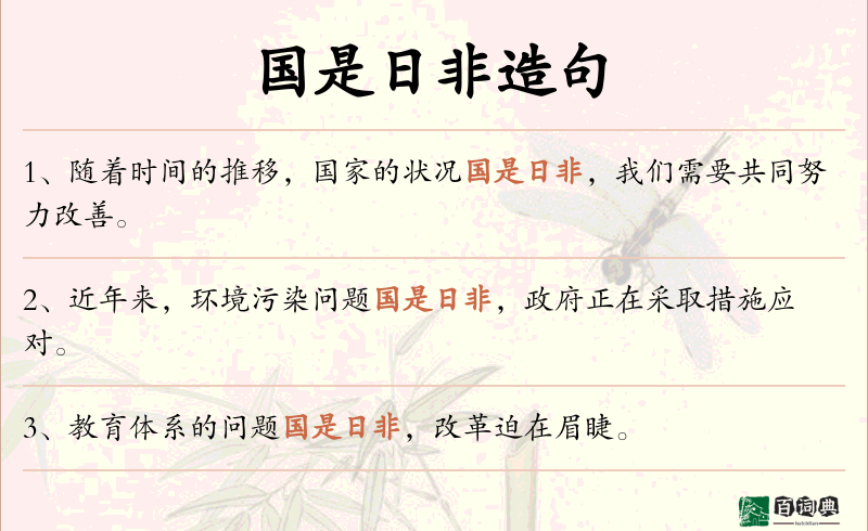 国是日非