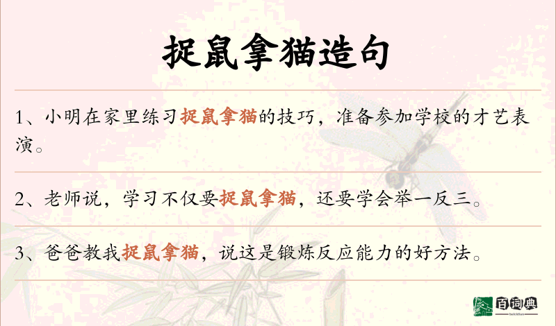 捉鼠拿猫
