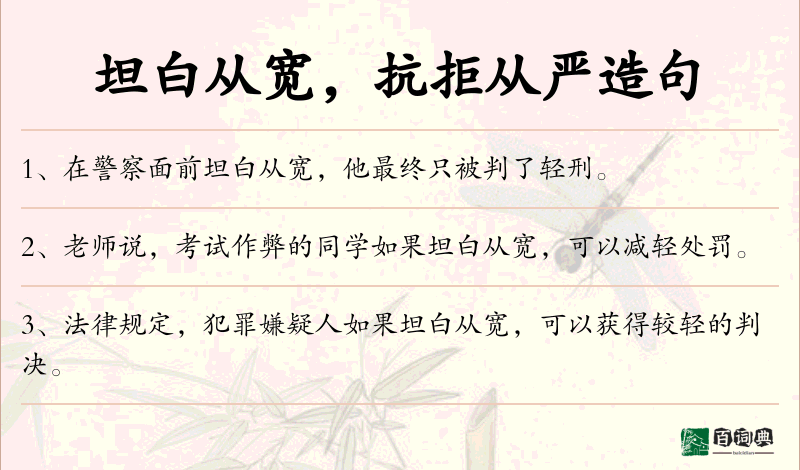 坦白从宽，抗拒从严