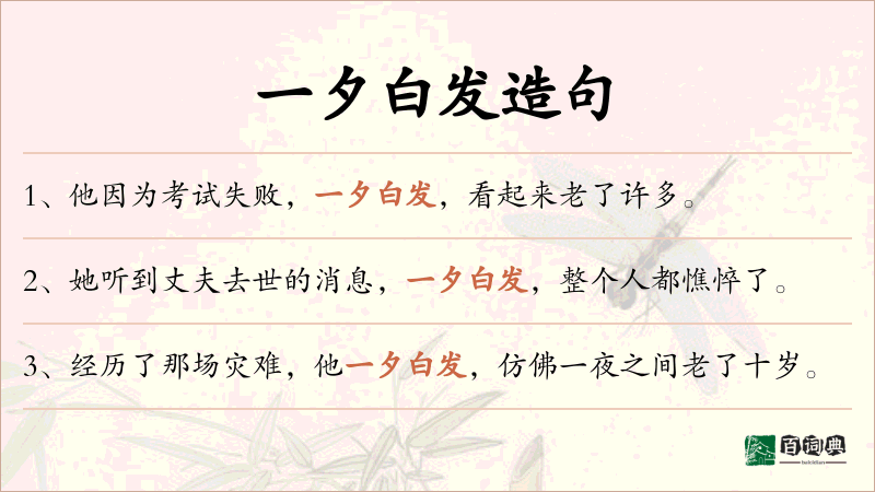 一夕白发