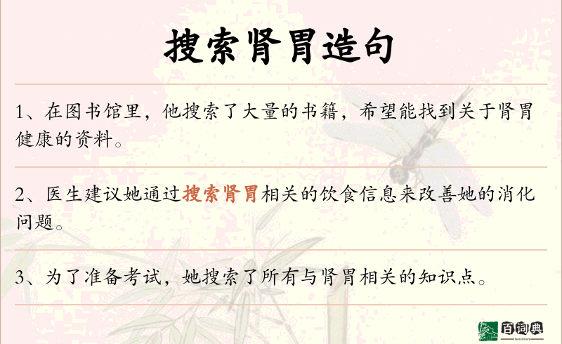 搜索肾胃