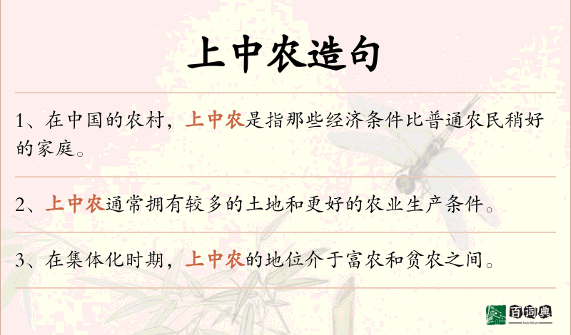 上中农