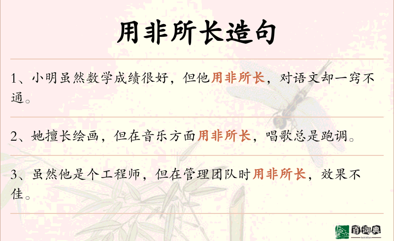 用非所长