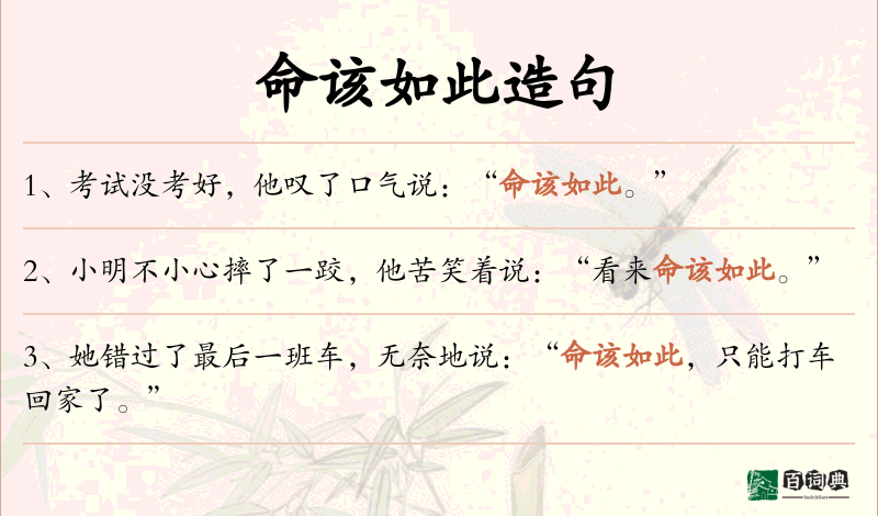命该如此