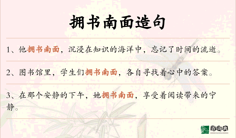 拥书南面
