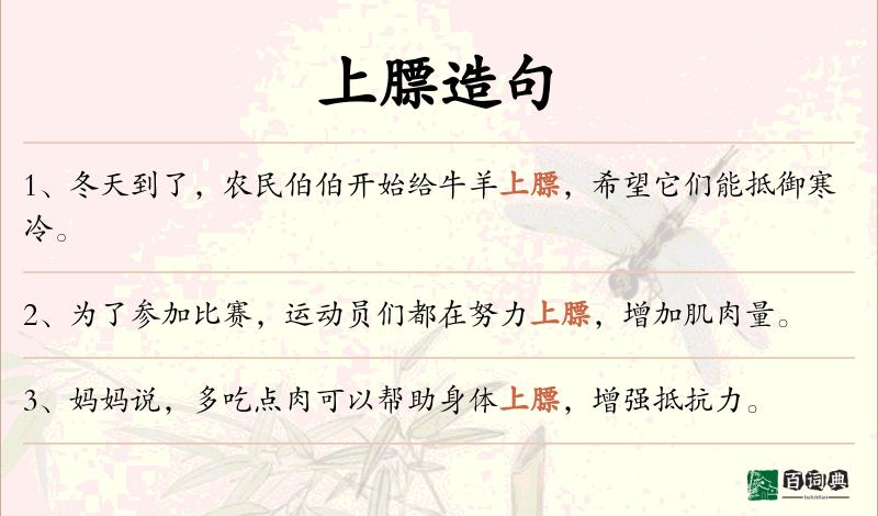 上膘