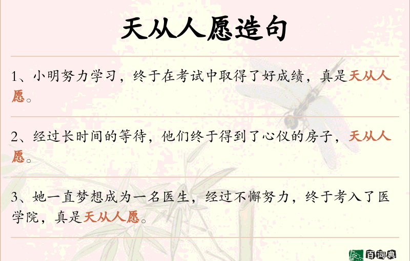 天从人愿