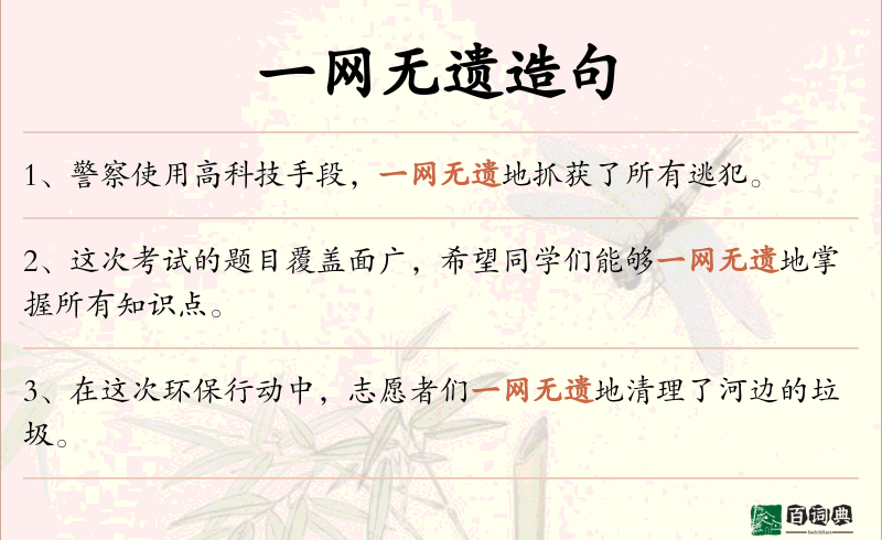 一网无遗