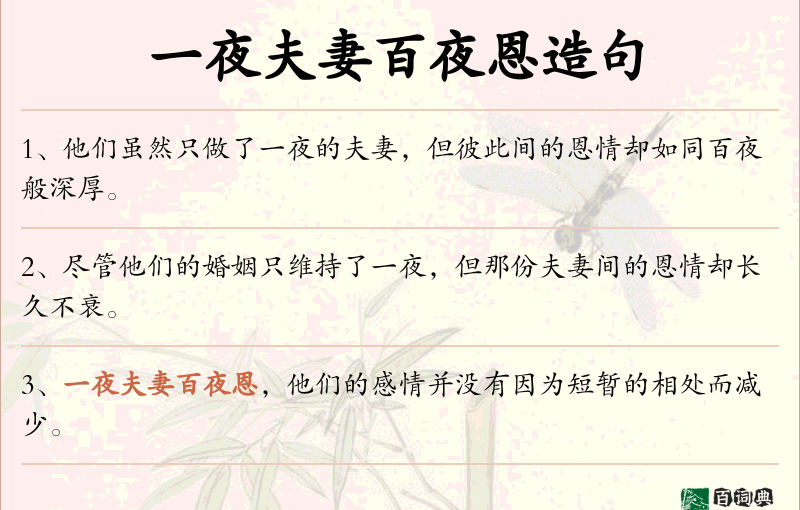 一夜夫妻百夜恩