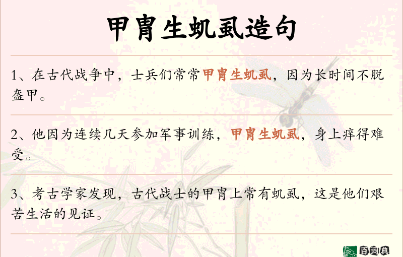 甲胄生虮虱