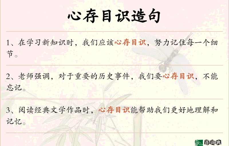 心存目识