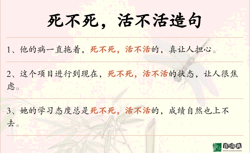 死不死，活不活