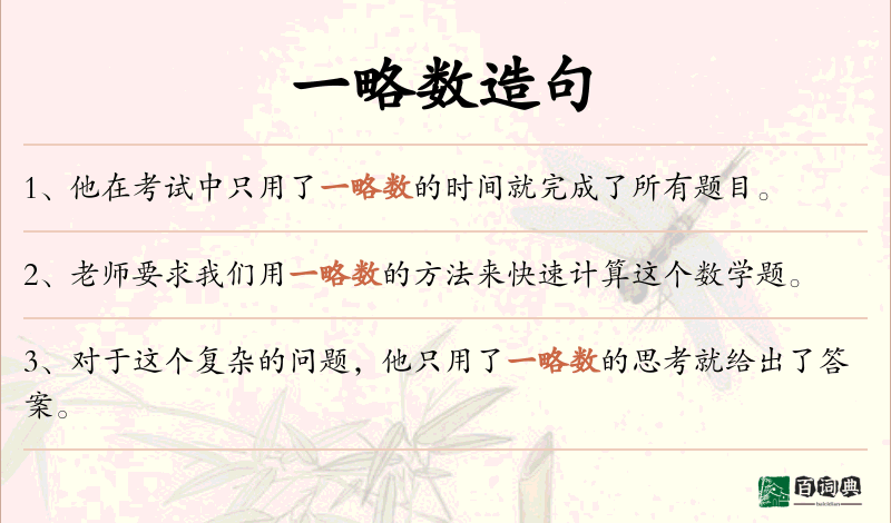 一略数
