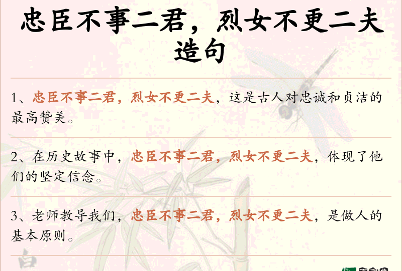 忠臣不事二君，烈女不更二夫