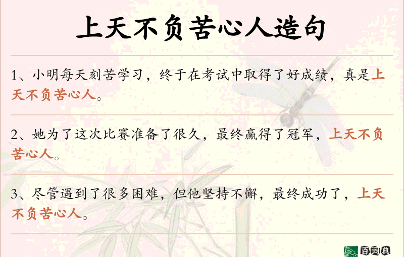 上天不负苦心人