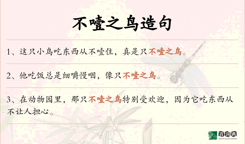 不噎之鸟
