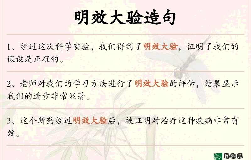 明效大验