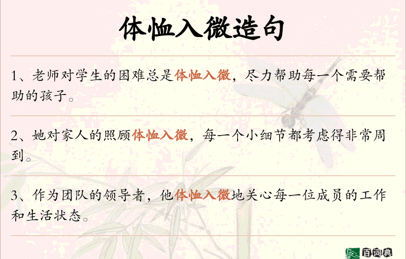 体恤入微