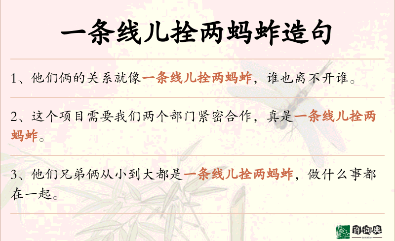 一条线儿拴两蚂蚱