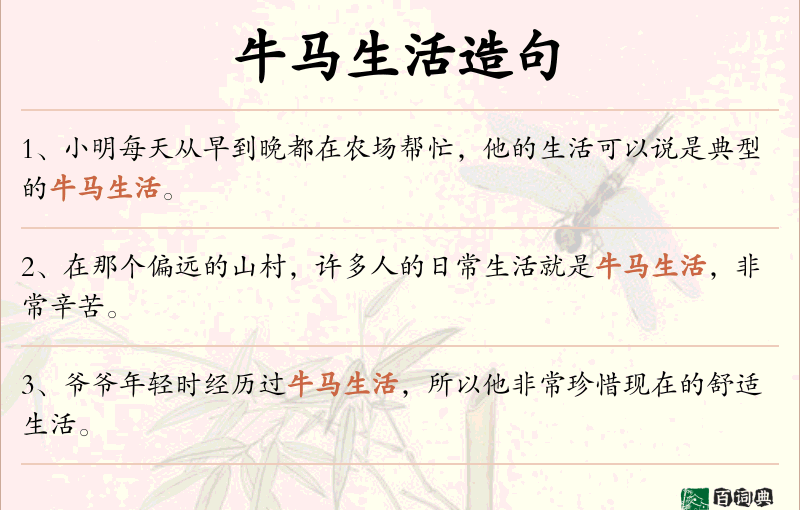 牛马生活
