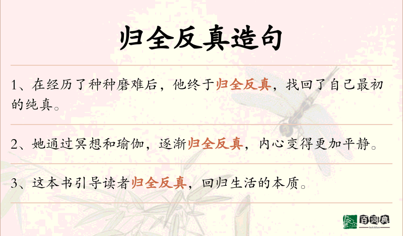 归全反真