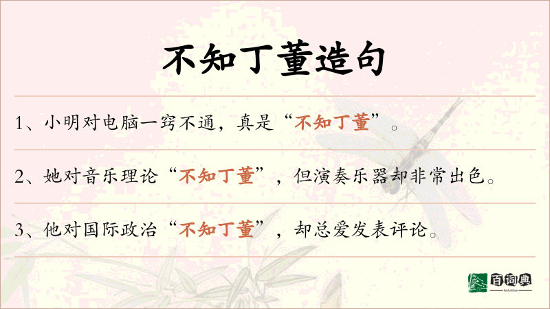 不知丁董