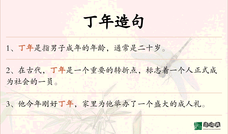 丁年
