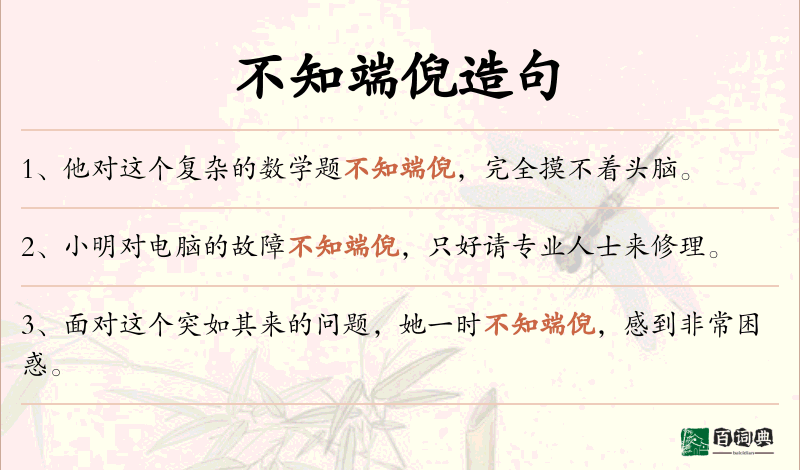 不知端倪