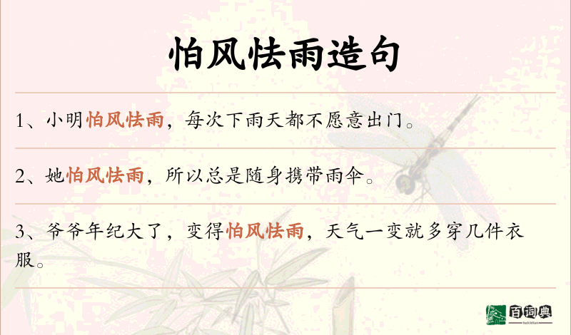 怕风怯雨