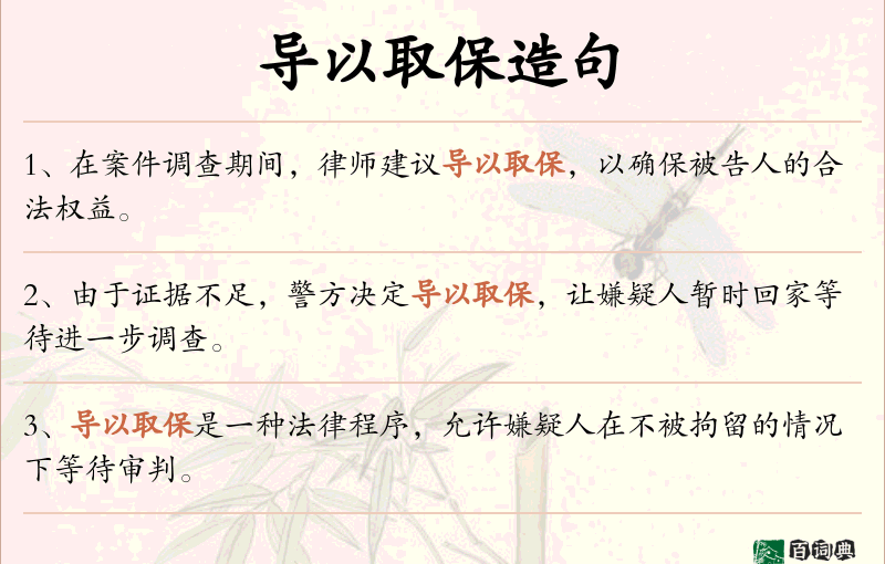 导以取保