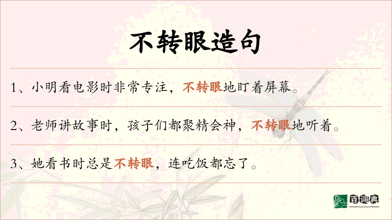 不转眼