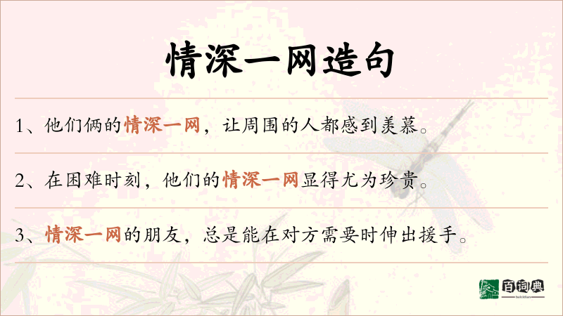 情深一网