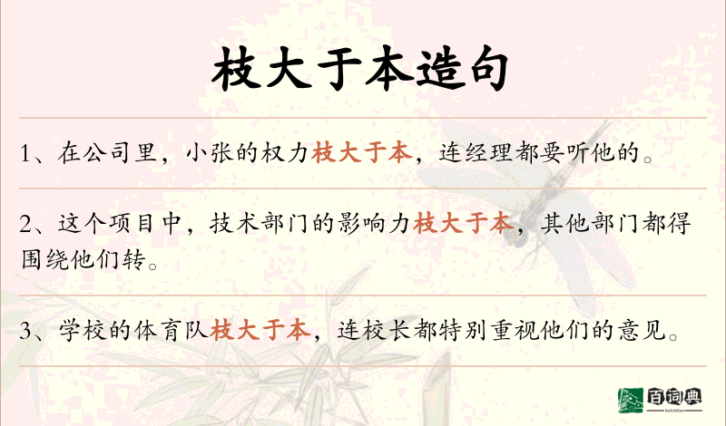 枝大于本