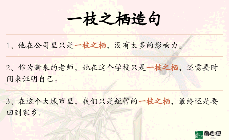 一枝之栖