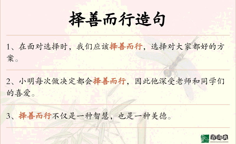 择善而行
