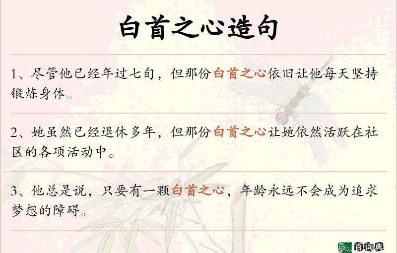 白首之心